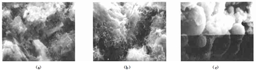 1̖��Ʒ��425#�V��ˮ��+ԭ���ú�ң���SEM����