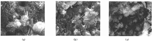 3̖��Ʒ��525#�չ�ˮ��+ĥ���V��+ĥ����ú�ң�SEM����