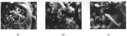 4̖��Ʒ��525#�չ�ˮ��+���}��ú�ң���SEM����