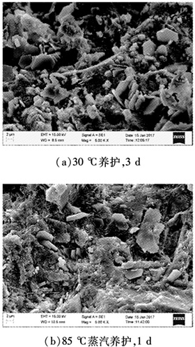 ��ͬ�B(y��ng)�o(h��)�ƶȵĻ�������(n��i)��΢�^�Y(ji��)��(g��u)��������@΢�R�D��